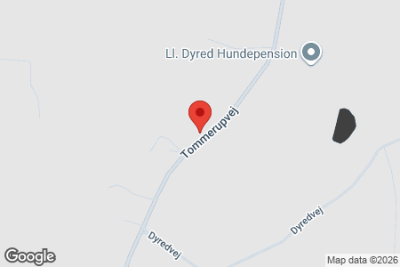 Tommerupvej 77, 5492 Vissenbjerg